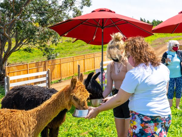 a woman holding a colorful umbrella