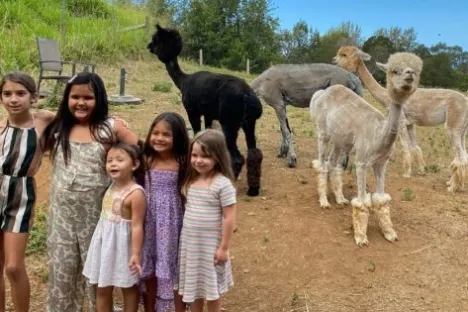 kids visiting an alpaca farm in Maui