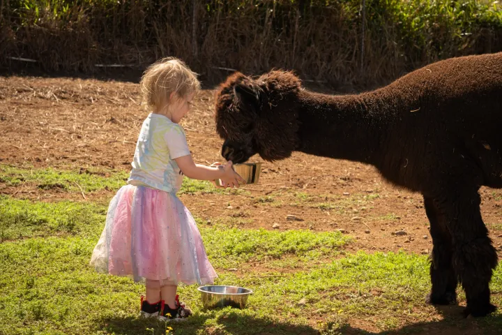a little girl that is standing in the grass