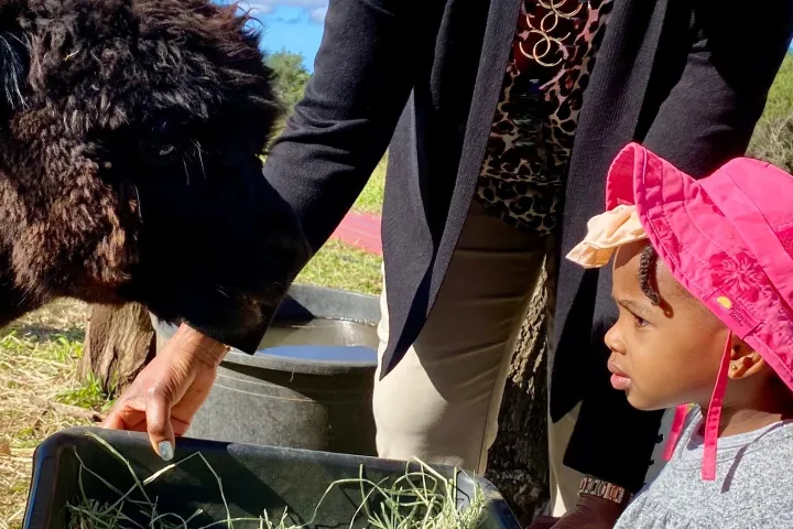 a little girl that is standing in the grass