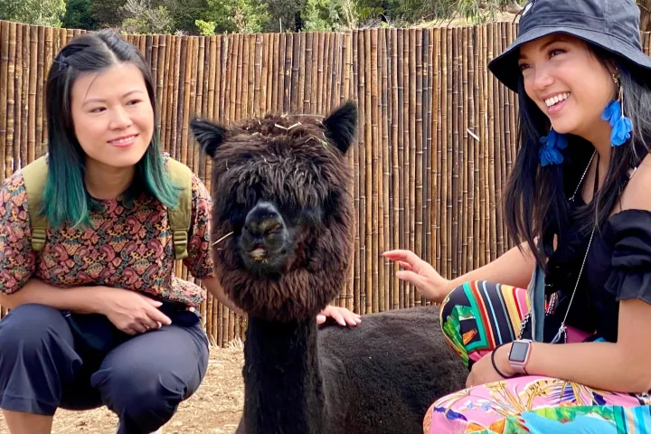 a woman holding a dog