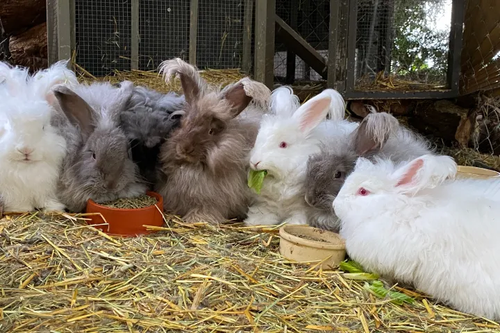 a pile of hay