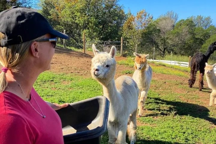 a woman holding an animal