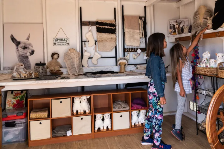 a bunch of items that are sitting in a room