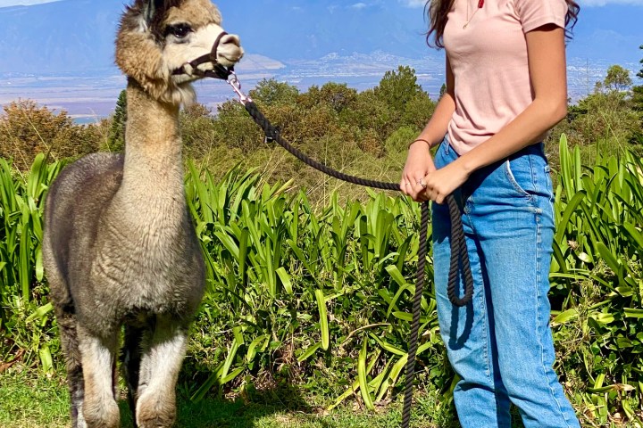 a person standing next to a dog