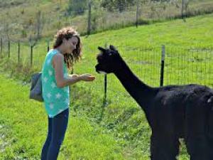a person standing in a field