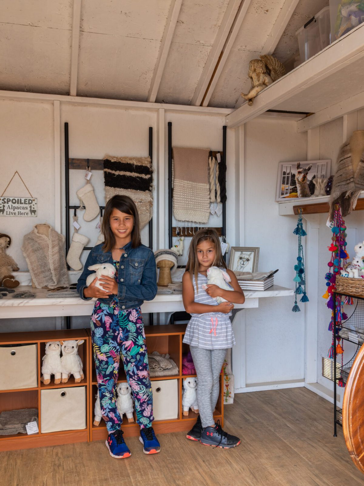 a cat sitting on top of a refrigerator