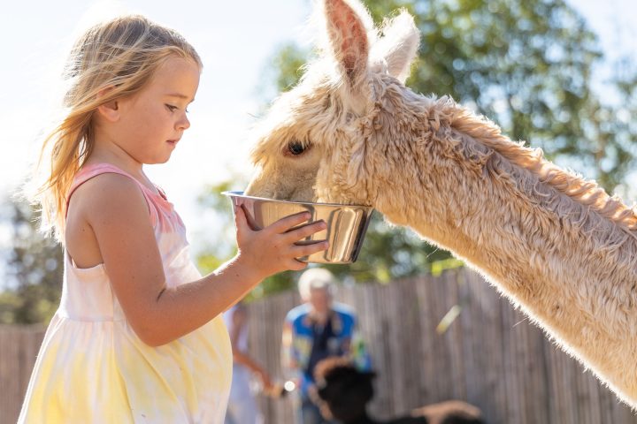 a person holding an animal