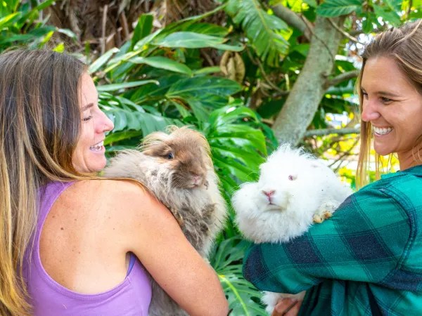 Two women holding fluffy rabbits outdoors near green plants.